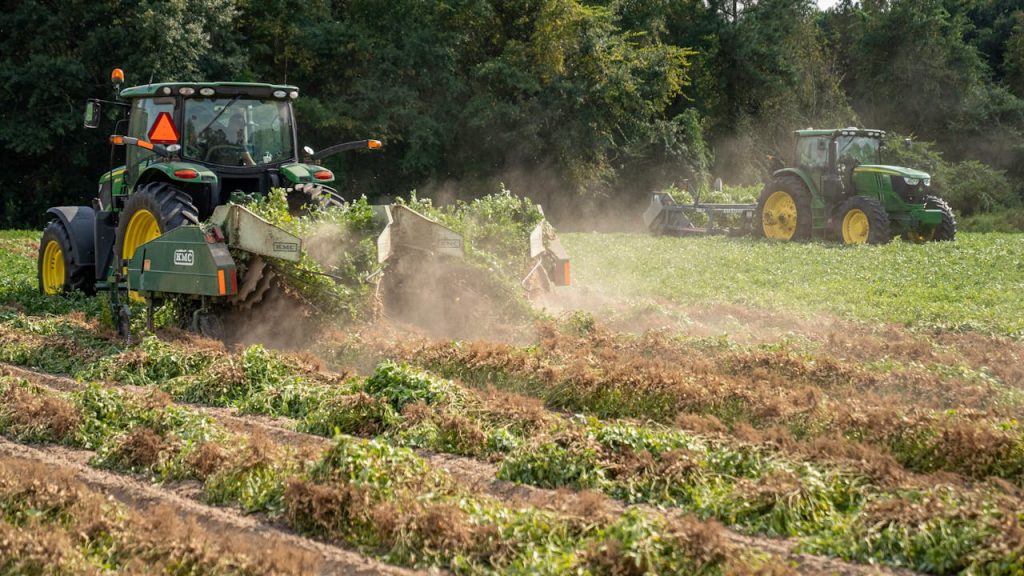 Agriculture and agribusiness investment in Guinea farmland