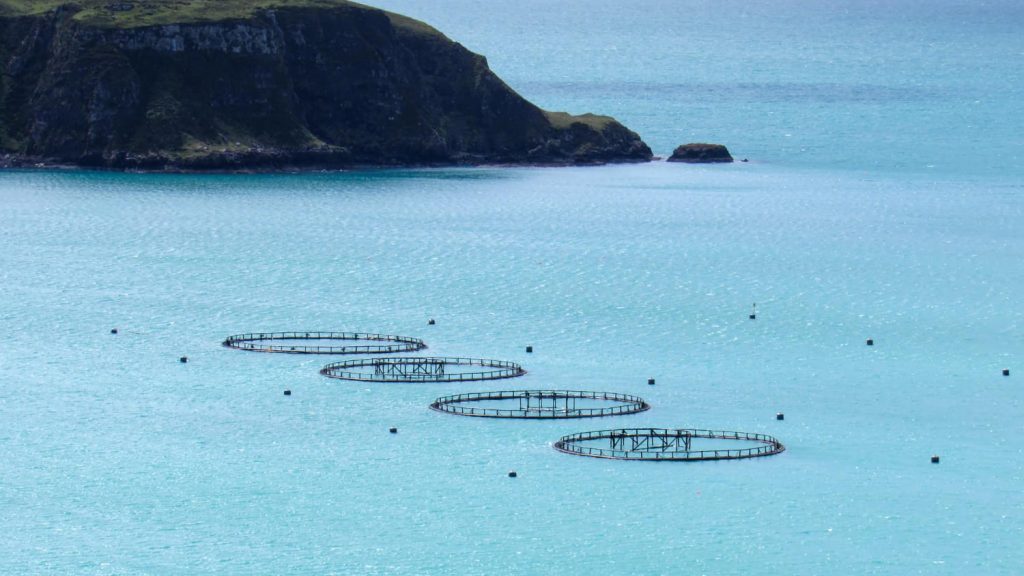 Aquaculture and fish farming investment in Guinea
