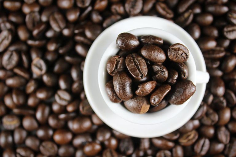 Cocoa and Coffee Agribusiness Export-Oriented Farming in Guinea - YES! INVEST in GUINEA cocoa promoted by Yes! Invest in Guinea.