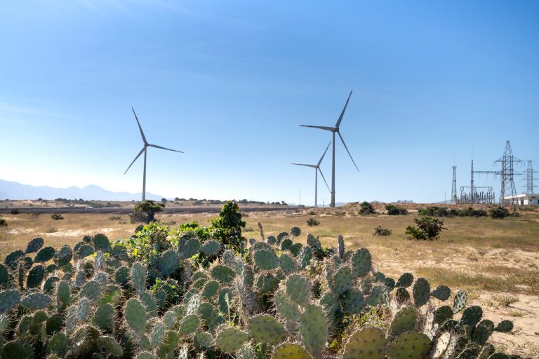 Wind and Biomass Energy Emerging Opportunities in Guinea Renewables - YES! INVEST in GUINEA Wind turbines in Fouta Djallon and a biomass plant, representing the growth of Renewable Energy Guinea with yes invest guinea advisory.