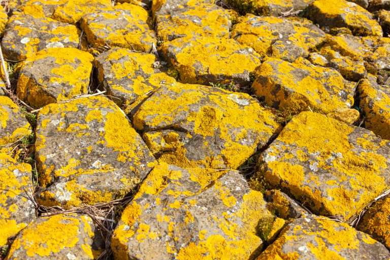 Bauxite Export Strategies Guineas Role in Global Aluminum Supply - YES! INVEST in GUINEA Bauxite Export Strategies Guinea's Role in Global Aluminum Supply by yes! invest guinea.