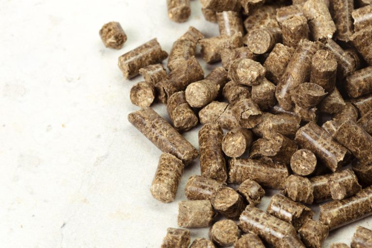 Biomass Power Plants Agricultural Waste-to-Energy in Guinea - YES! INVEST in GUINEA Biomass Power Plants: Agricultural Waste-to-Energy in Guinea overview by yes! invest guinea