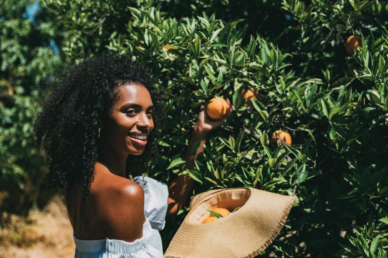 Mango and Pineapple Exports Fruit Agribusiness Opportunities - YES! INVEST in GUINEA Mango and Pineapple Exports: Fruit Agribusiness Opportunities roadmap by yes! invest guinea.