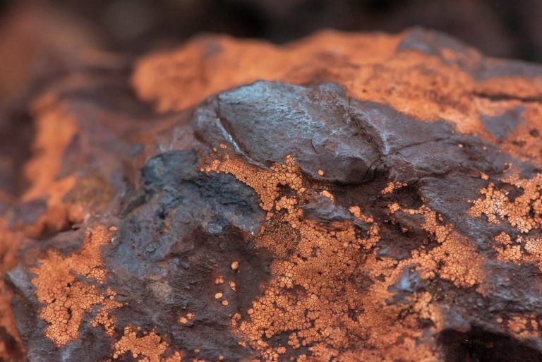 Steel Production from Iron Ore Industrial Opportunities in Guinea - YES! INVEST in GUINEA Steel Production from Iron Ore: Industrial Opportunities in Guinea overview by yes! invest guinea.