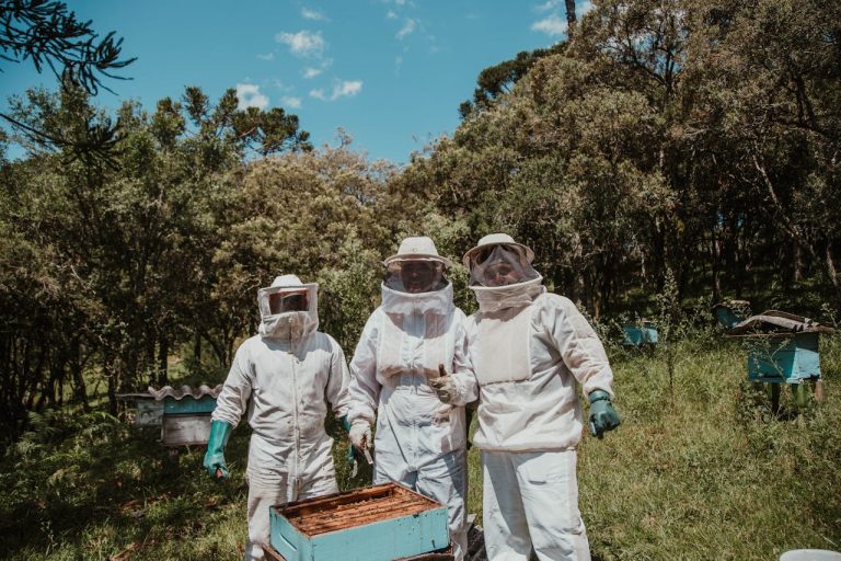 Beekeeping Cooperatives in Guinea Powering Honey Production Networks - YES! INVEST in GUINEA Beekeeping cooperatives in Guinea: Honey production by yes! invest guinea.