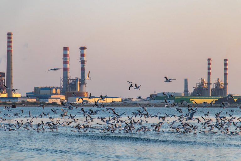 Desalination Plants in Guinea Pioneering the Water-Energy Nexus for Industrial Growth - YES! INVEST in GUINEA Desalination Plants Guinea: Water-Energy Nexus in Guinea investment roadmap by yes! invest guinea.