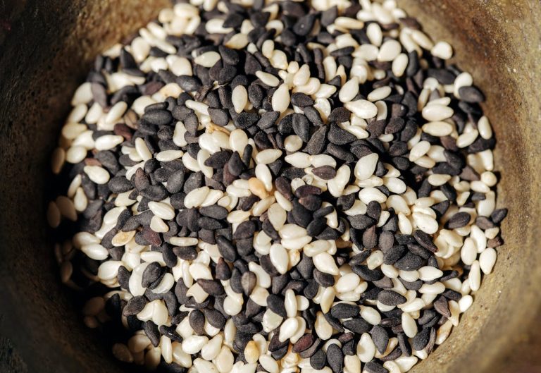 Sesame Seed Farming in Guinea Unlocking High-Yield Oil Crop Opportunities - YES! INVEST in GUINEA Sesame Seed Farming: Oil Crop Opportunities in Guinea guide by yes! invest guinea.