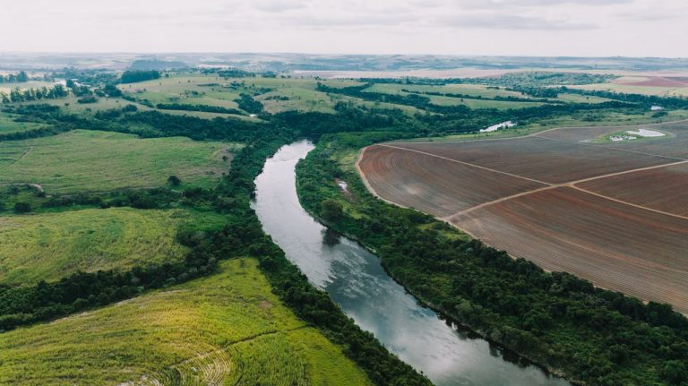 Brazilian Investment Trends in Guineas Agriculture Sector A New Frontier for Tropical Agribusiness - YES! INVEST in GUINEA Brazilian Investment Trends in Guinea’s Agriculture Sector yes! invest guinea