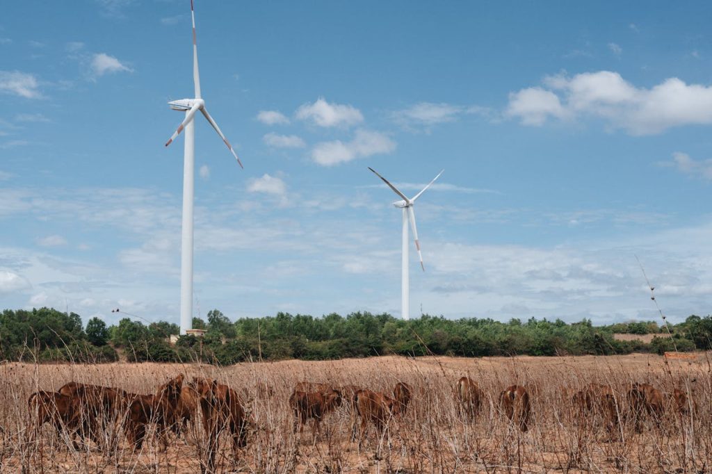 Why Investors Are Looking at Guinea’s Energy Sector yes! invest guinea