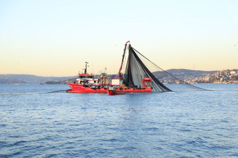 Modernization of Fishing Fleet in Guinea A Strategic Investment Opportunity in West Africa - YES! INVEST in GUINEA Modernization of Fishing Fleet in Guinea – Yes! Invest Guinea