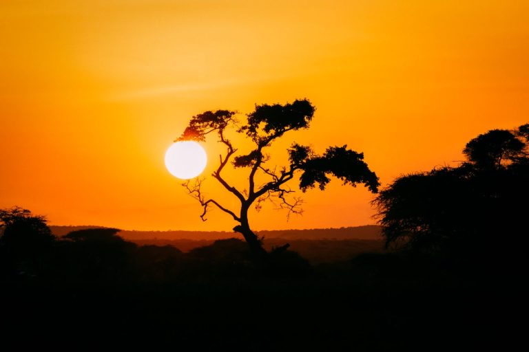 The Ultimate Guinea Investment Guide for Hong Kong Investors - YES! INVEST in GUINEA Guinea investment guide for Hong Kong investors by Yes! Invest in Guinea.