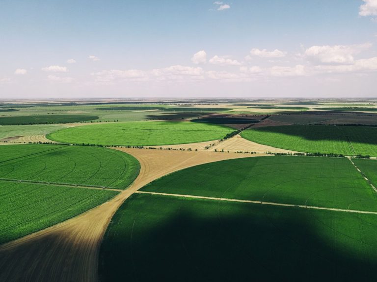 Agribusiness Diversification in Africa 2026 Beyond Subsistence into Strategic Investment - YES! INVEST in GUINEA Agribusiness Diversification in Africa 2026: Value Chains, Agro-Processing & Agritech | Yes! Invest Africa