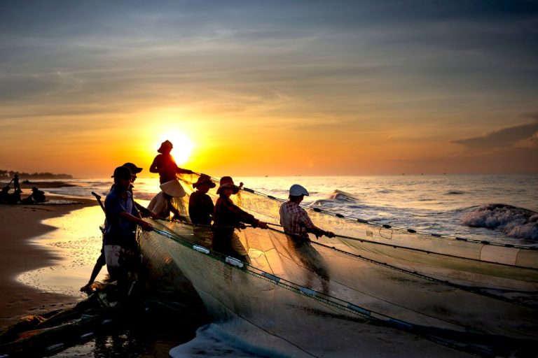 Fish Processing and Seafood Export Opportunities in Guinea The Business Case for Building West Africas Next Seafood Hub - YES! INVEST in GUINEA Fish Processing and Seafood Export in Guinea – Yes! Invest Guinea