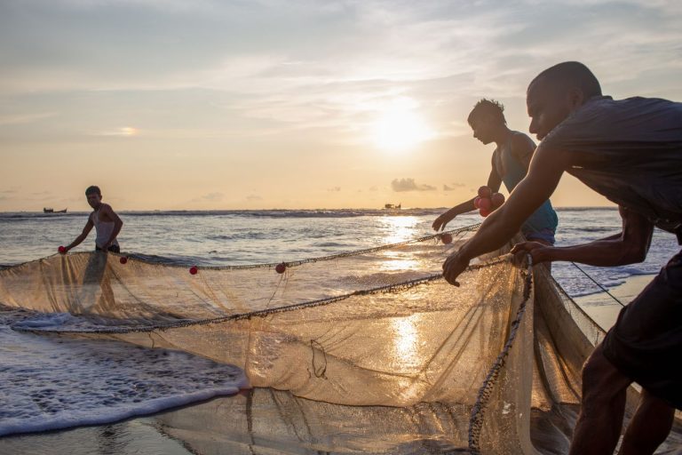 Guineas Fishing Industry Modernizing for Global Exports and Commercial Scale - YES! INVEST in GUINEA Guinea's Fishing Industry Modernization – Yes! Invest Guinea
