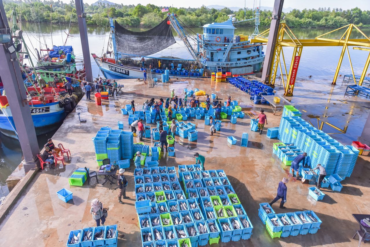 Seafood Export and Cold Storage Value-Added Opportunities on the Atlantic Coast - YES! INVEST in GUINEA Seafood Export and Cold Storage Opportunities in Guinea - Yes! Invest Guinea