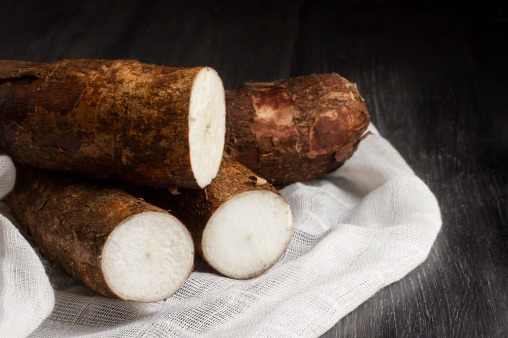 Cassava processing and agribusiness investment in Guinea - Yes Invest Guinea